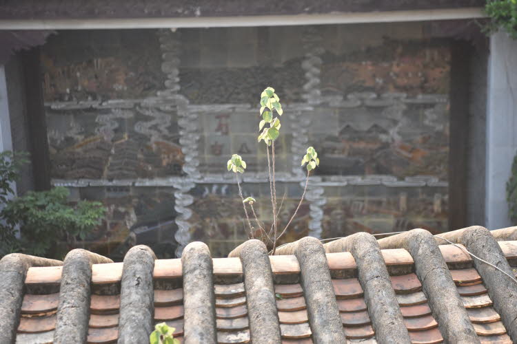 China_2019_0025