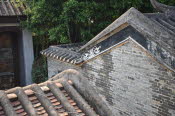 China_2019_0026