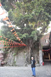 China_2019_0048