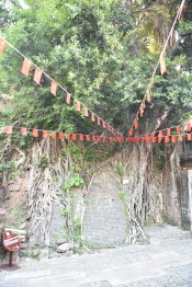 China_2019_0049
