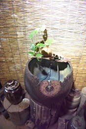 China_2019_0053