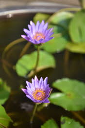 China_2019_0058