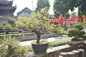 China_2019_0059