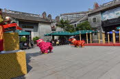China_2019_0089