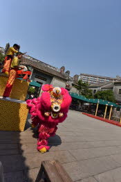 China_2019_0091