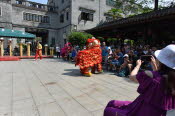 China_2019_0108