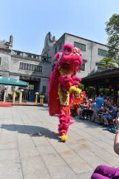 China_2019_0113