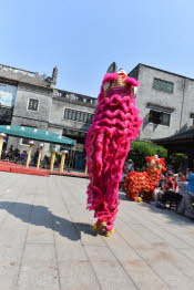 China_2019_0114