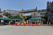 China_2019_0169
