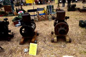 DCS_0729_Sml