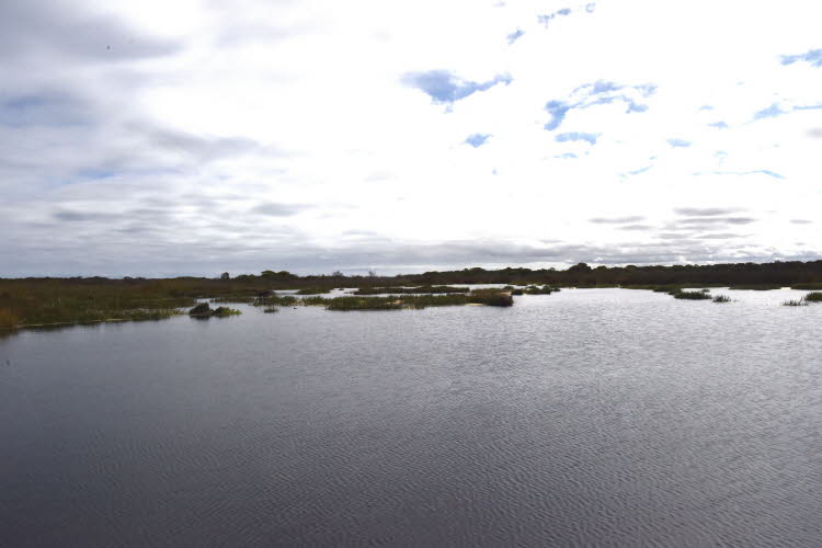 DCS_0984_Sml