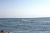 DCS_1055_Sml