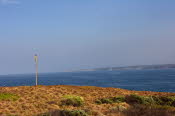 DCS_1128_Sml