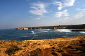 DCS_1149_Sml
