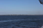 DCS_1215_Sml