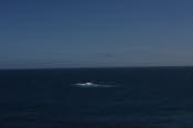 DCS_1248_Sml
