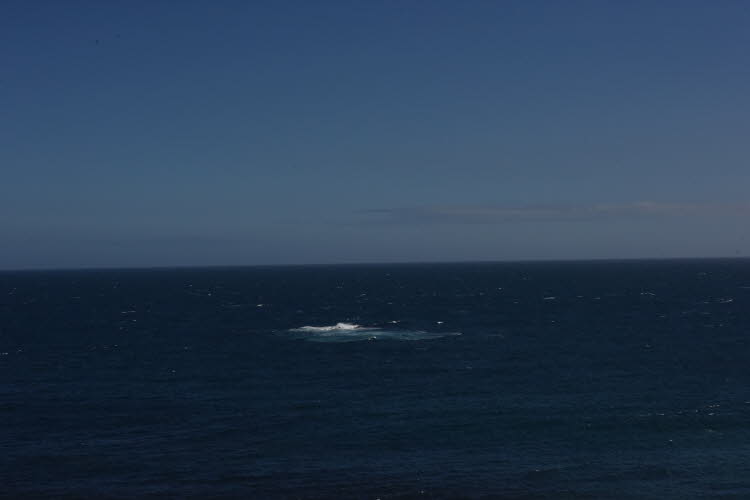 DCS_1248_Sml
