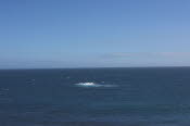 DCS_1249_Sml