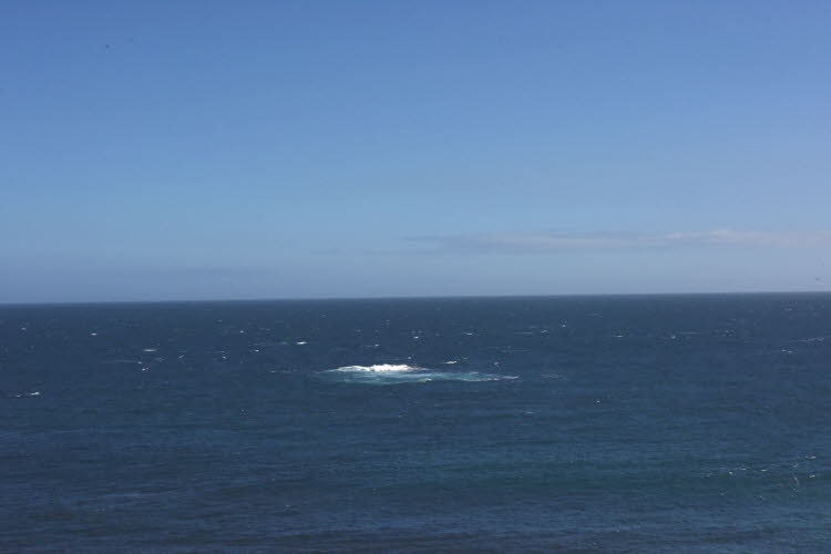 DCS_1249_Sml