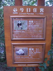 DSCN4391
