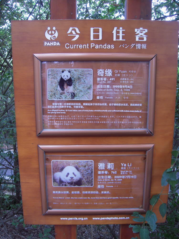 DSCN4391