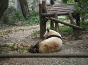 DSCN4392