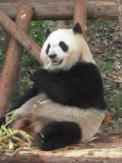 DSCN4395