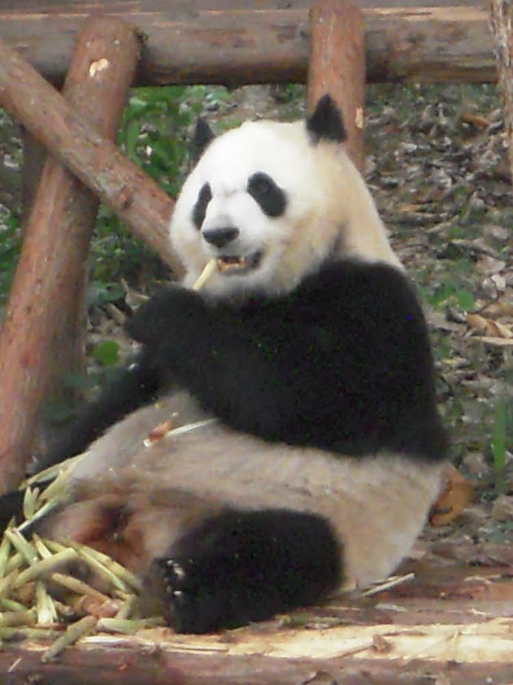 DSCN4395