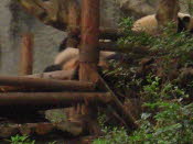 DSCN4403