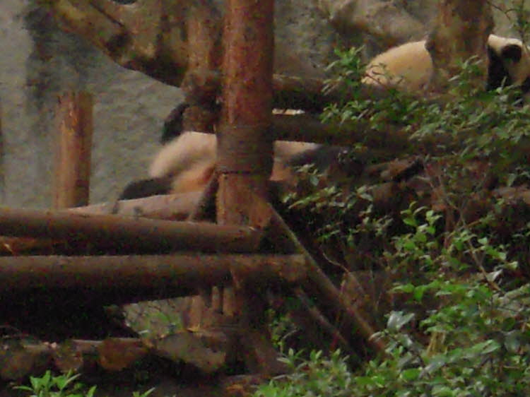 DSCN4403