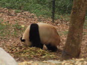 DSCN4407