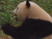 DSCN4410