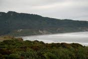 DSC_0013