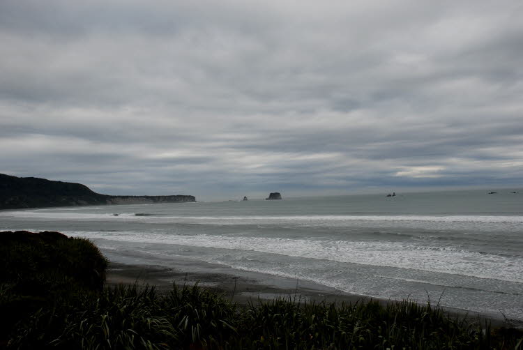 DSC_0014
