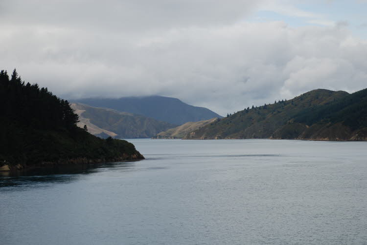 DSC_0032