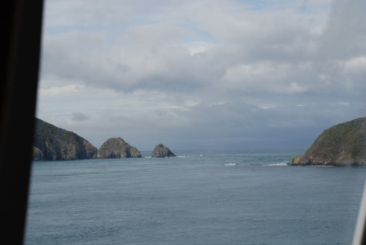 DSC_0041