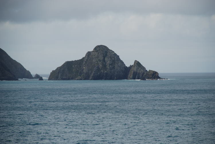 DSC_0050