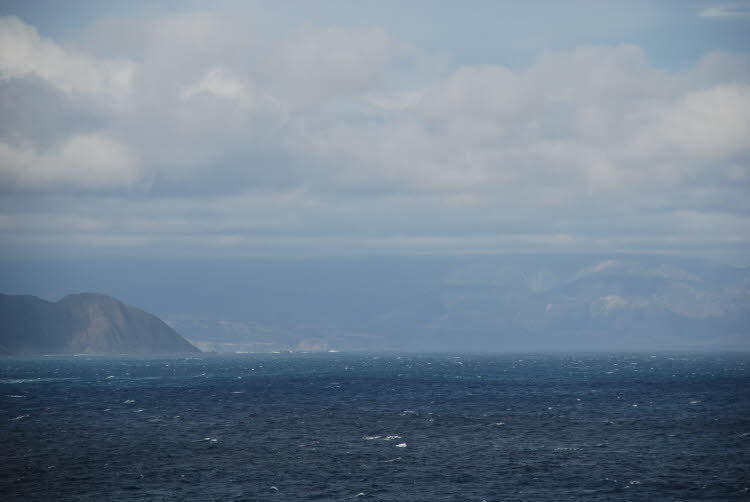 DSC_0078