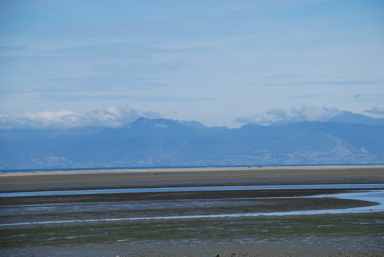 DSC_0134
