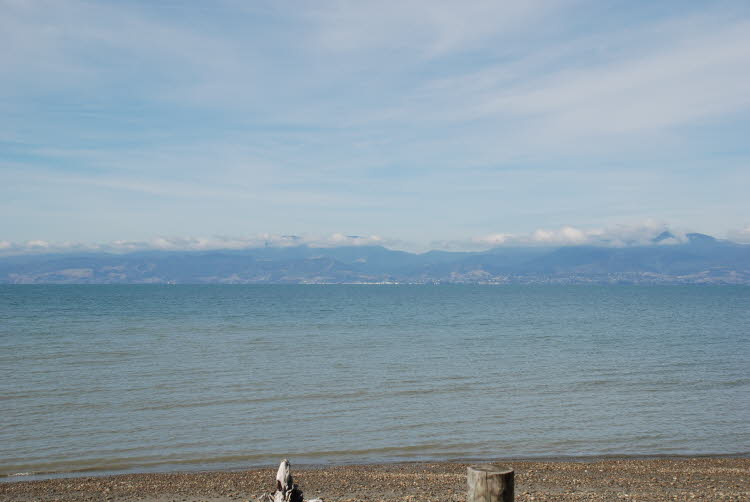 DSC_0142