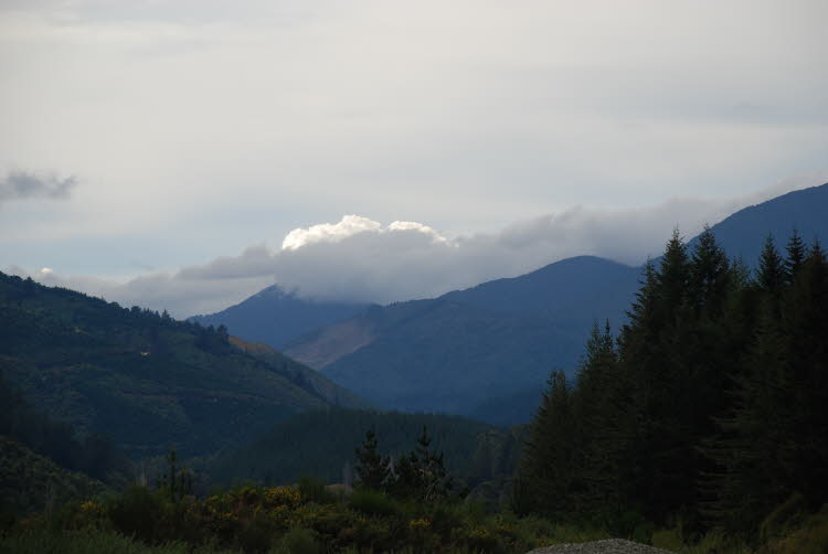 DSC_0187