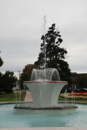 DSC_0195