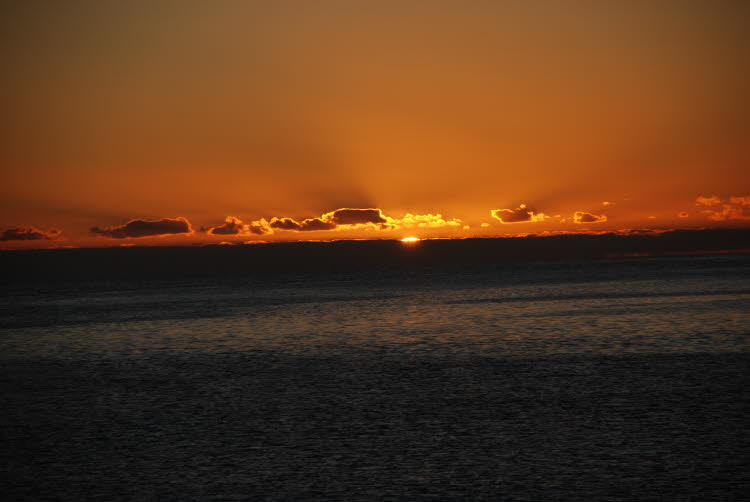 DSC_0198