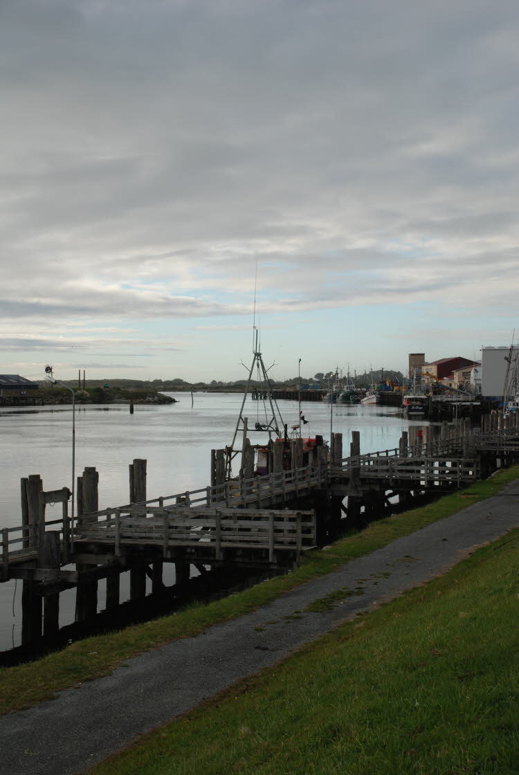 DSC_0222