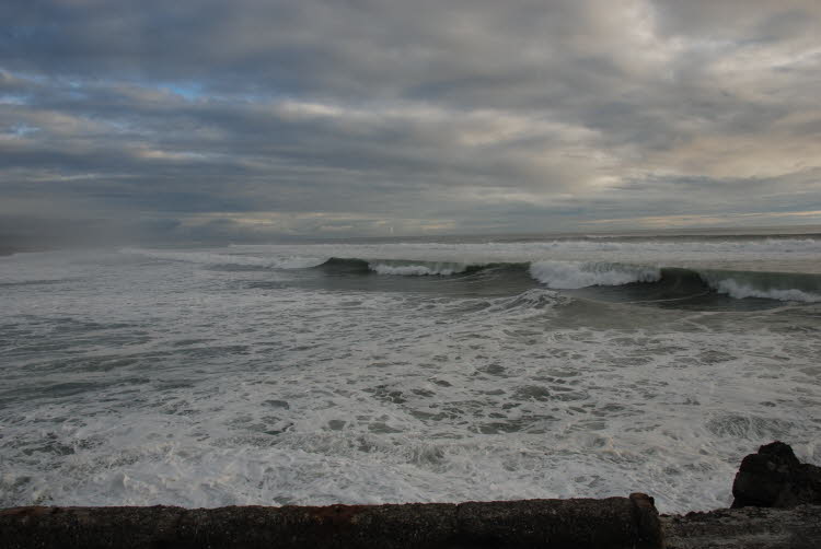 DSC_0230