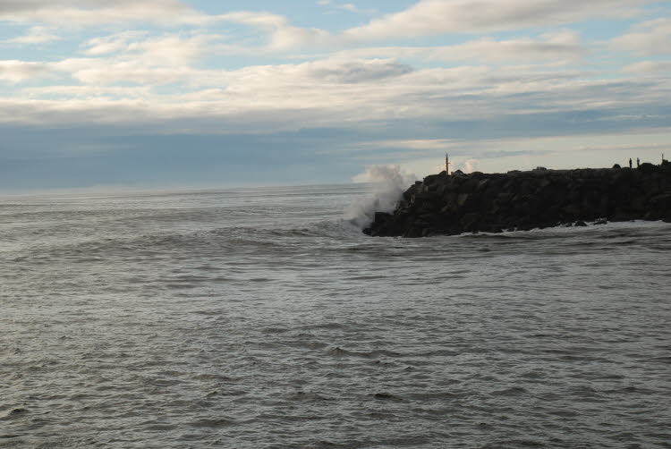 DSC_0231