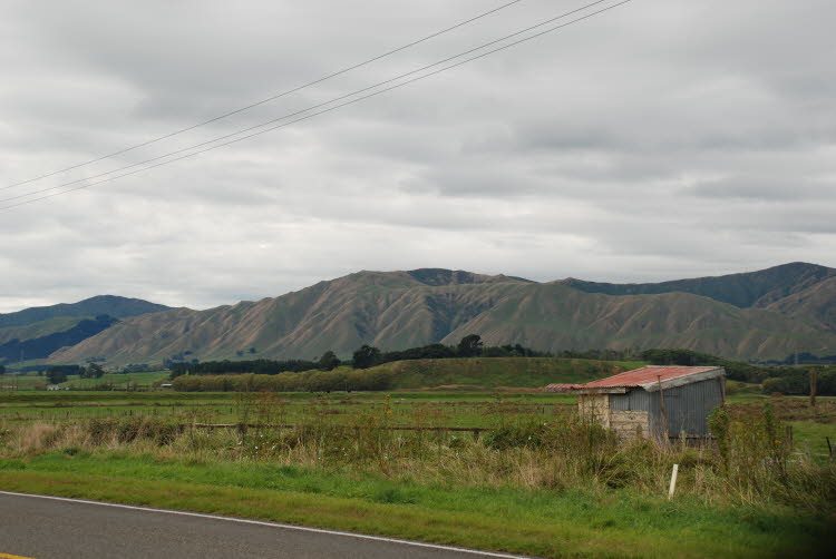 DSC_0263