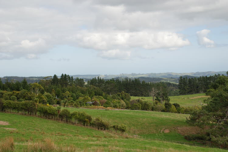 DSC_0401