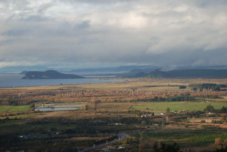 DSC_0431