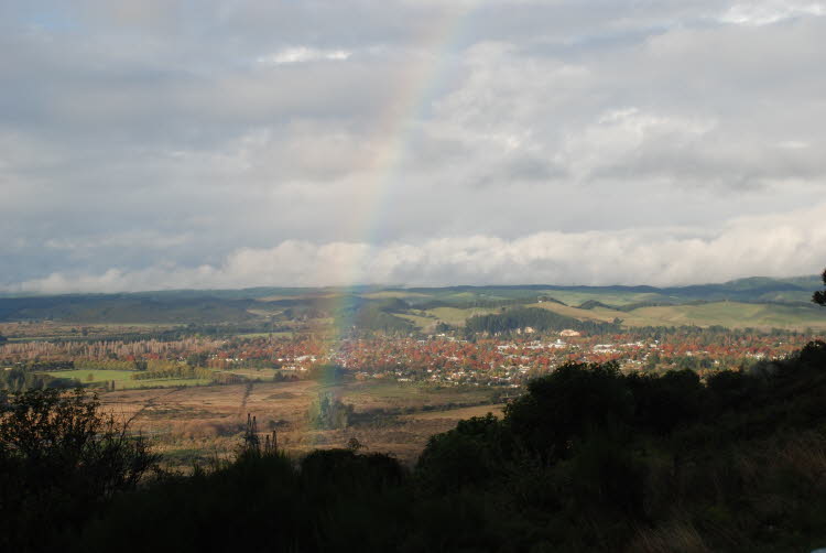 DSC_0434